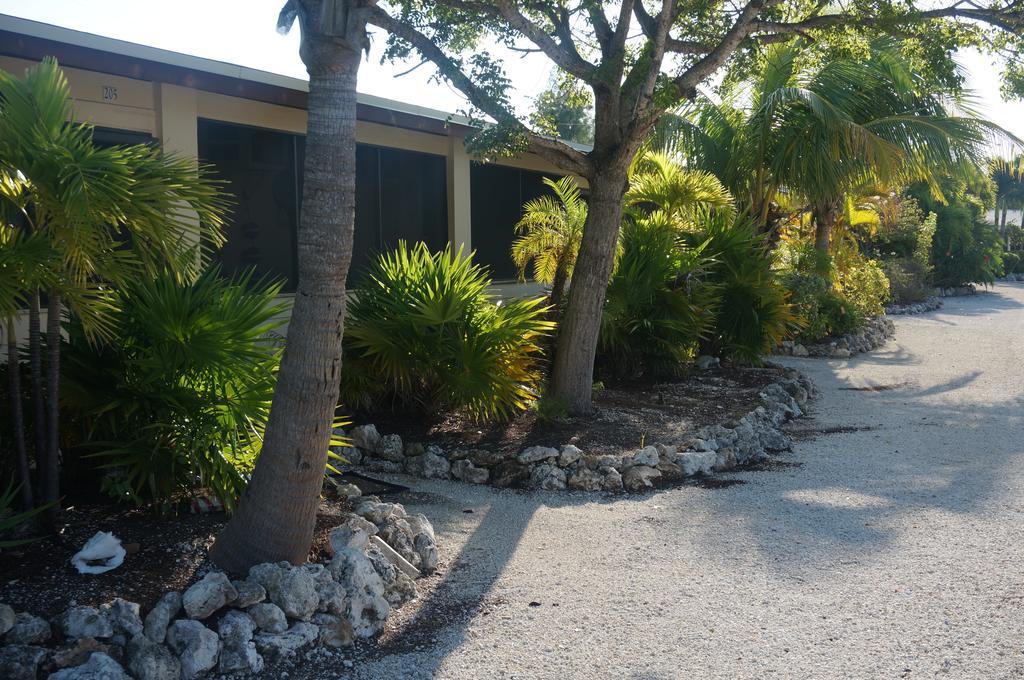 Florida Keys Hotel Marathon Room photo